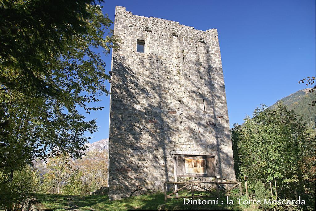 Вилла Agriturismo Bosco Di Museis Cercivento Экстерьер фото